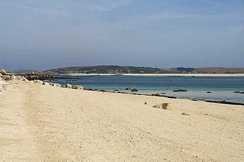 Tresco, Isles of Scilly, off Cornwall, United Kingdom, Europe