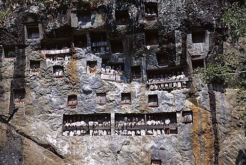 Effigies of the dead looking out from Lemo cliff tombs, Toraja area, island of Sulawesi, Indonesia, Southeast Asia, Asia