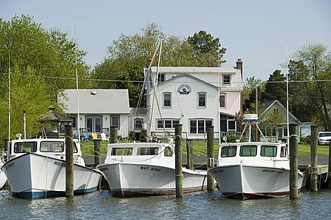 Dogwood Harbour, Tilghman Island, Talbot County, Chesapeake Bay area, Maryland, United States of America, North America