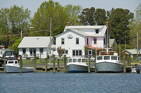 Dogwood Harbour, Tilghman Island, Talbot County, Chesapeake Bay area, Maryland, United States of America, North America