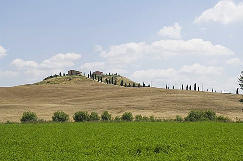 Typical view of the Tuscan landscape, Le Crete (The Crete), Tuscany, Italy, Europe