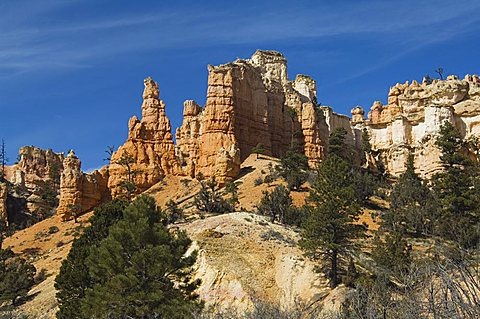 Cedar Breaks National Monument, Utah, United States of America, North America