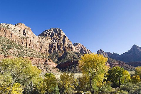 Zion National Park, Utah, United States of America, North America