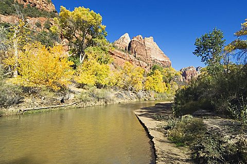 Zion National Park, Utah, United States of America, North America