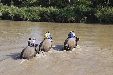 Tourists and elephants at the Anantara Golden Triangle Resort, Sop Ruak, Golden Triangle, Thailand, Southeast Asia, Asia