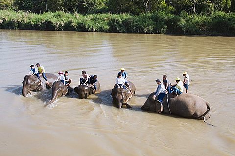 Tourists and elephants at the Anantara Golden Triangle Resort, Sop Ruak, Golden Triangle, Thailand, Southeast Asia, Asia