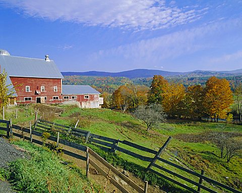 The Red Barns typify Vermont's countryside, Vermont, USA