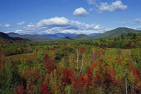 Landscape of woodland, trees in autumn (fall) colours, with hills in the background, in New England, United States of America, North America