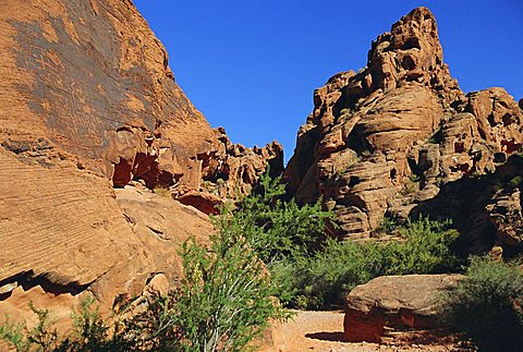 Petroglyphs drawn in sandstone by Anasazi Indians around 500 AD, Valley of Fire State Park, Nevada, USA, North America