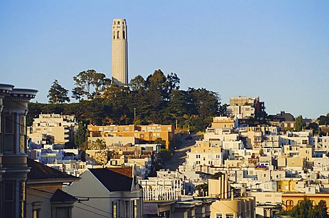 Coit Tower and Telegraph Hill, San Francisco, California, USA