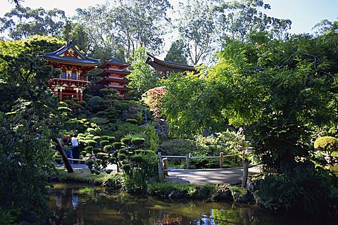 The Japanese Tea Garden in the Golden Gate Park, San Francisco, California, United States of America, North America