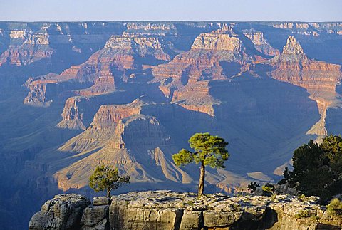 The south rim of the Grand Canyon, Arizona, USA