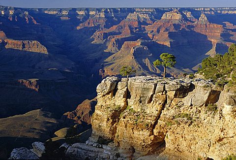 The south rim of the Grand Canyon, Arizona, USA