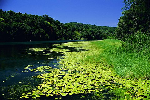 Barron River, Kuranda, Queensland, Australia, Pacific