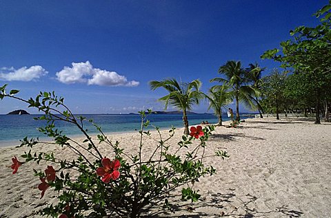 Palm Island, near Young Island, The Grenadines, Windward Islands, West Indies, Caribbean, Central America