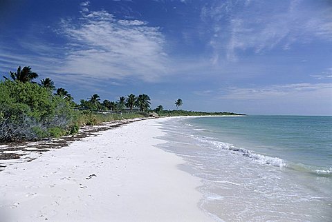 Bahia Honda Key, the Keys, Florida, United States of America (U.S.A.), North America