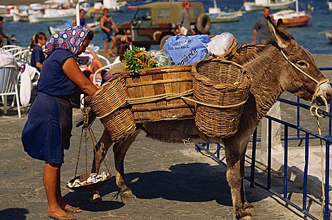 Woman selling fruit and flowers from baskets on a laden donkey in Mykonos town, on Mykonos, the Cyclades Islands, Greek Islands, Greece, Europe