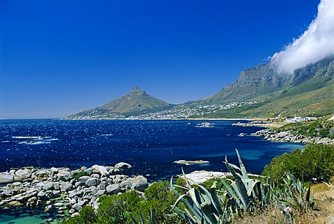 View from Chapman's Peak Drive, near Cape Town, South Africa