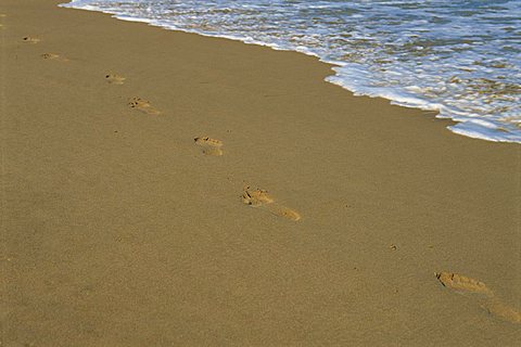 Footprints in the sand on a beach and water's edge