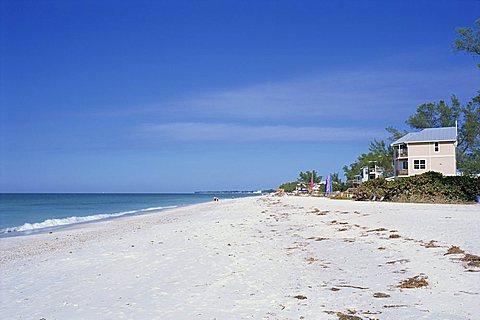 Gulf coast, Longboat Key, Florida, United States of America, North America