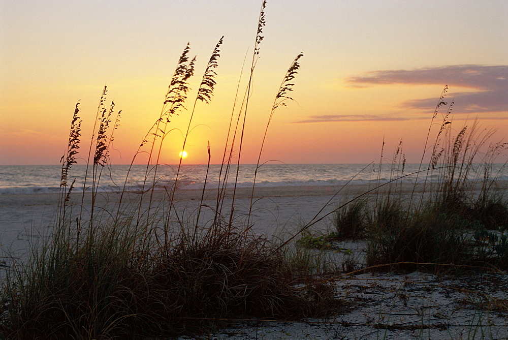 Sunset, Gulf Coast, Longboat Key,  Anna Maria Island, Beach, Florida, Usa *** Local Caption ***