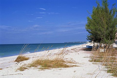 Beach, Anna Maria Island, Gulf Coast, Florida, United States of America, North America