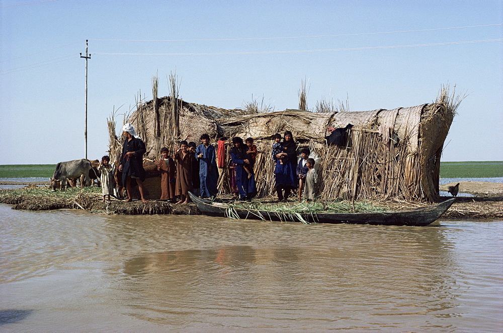 Grindly, photograph taken in 1982, Iraq, Middle East