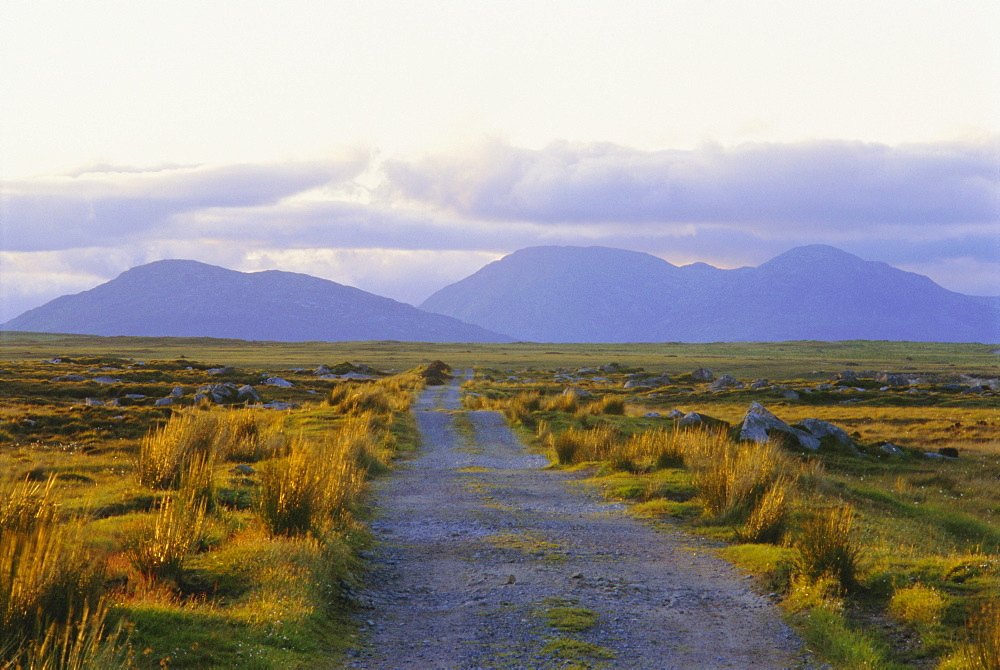 Country track and hills, County Galway, Connacht, Republic of Ireland (Eire), Europe