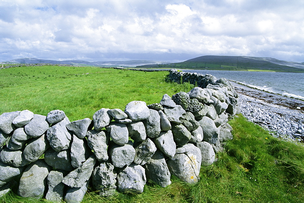 Dry stone wall, County Clare, Munster, Eire (Republic of Ireland), Europe