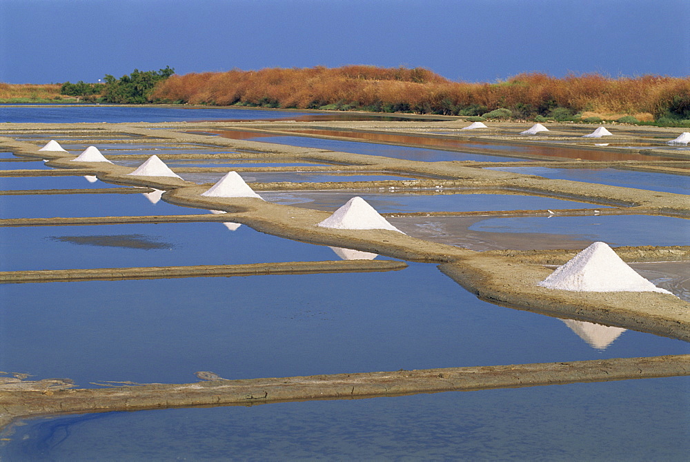 Salt pans in marshes, Ile de Re (Island of Re), Poitou Charentes, France, Europe