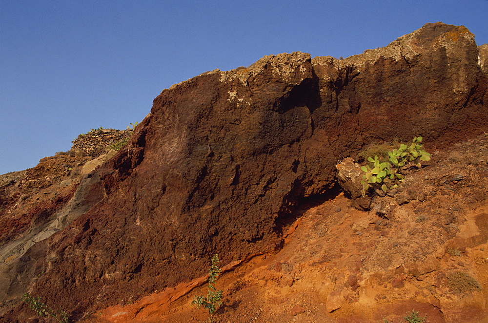 Close-up of rock, ochre earth and prickly pear cactus, Santorini (Thira), Cyclades Islands, Greek Islands, Greece, Europe