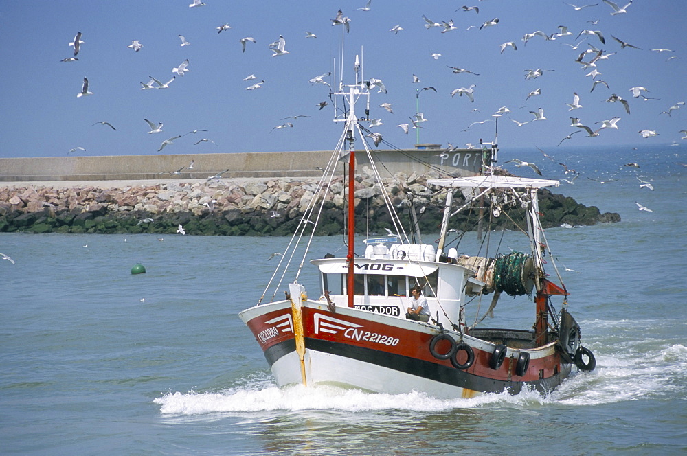 Fishing boat returning from fishing, Deauville, Normandy, France, Europe