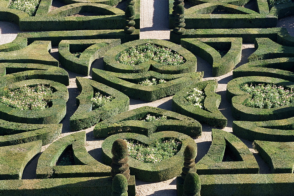 Gardens, Chateau de Villandry, Loire Valley, Centre, France, Europe