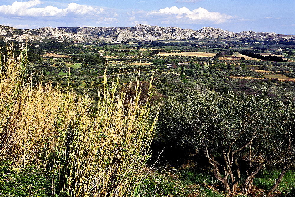 La Chaine des Alpilles, Les Baux-de-Provence, Provence, France, Europe