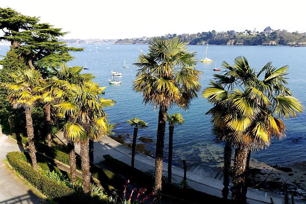 Promenade du Clair de Lune (Moonshine Walk) seen from above, Dinard, Brittany, France, Europe