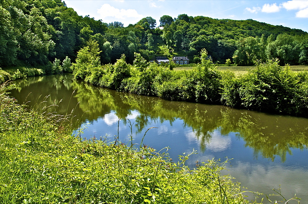 River Rance bank and reflections, Dinan, Brittany, France, Europe 