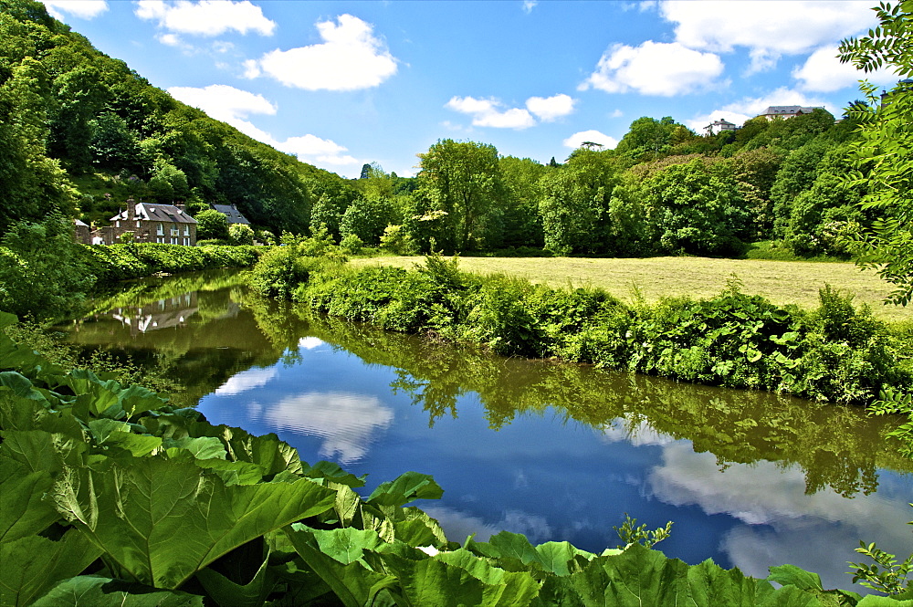 River Rance banks, Dinan, Brittany, France, Europe 