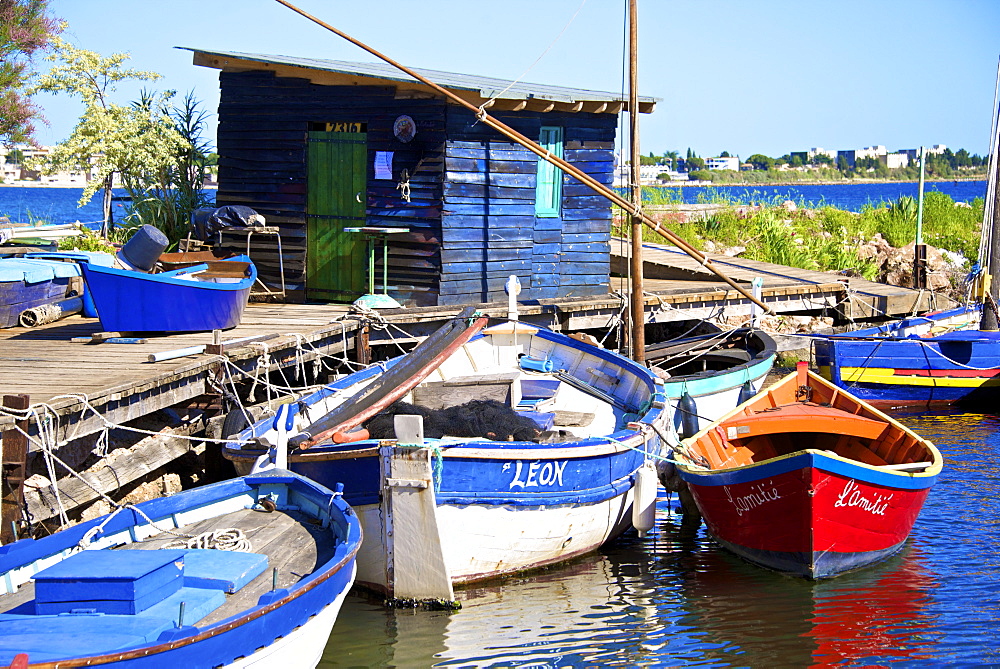 Fishing cabin and ancient fishing boats, Etang de Thau Museum, Bouzigues, Thau basin, Herault, Languedoc, France, Europe