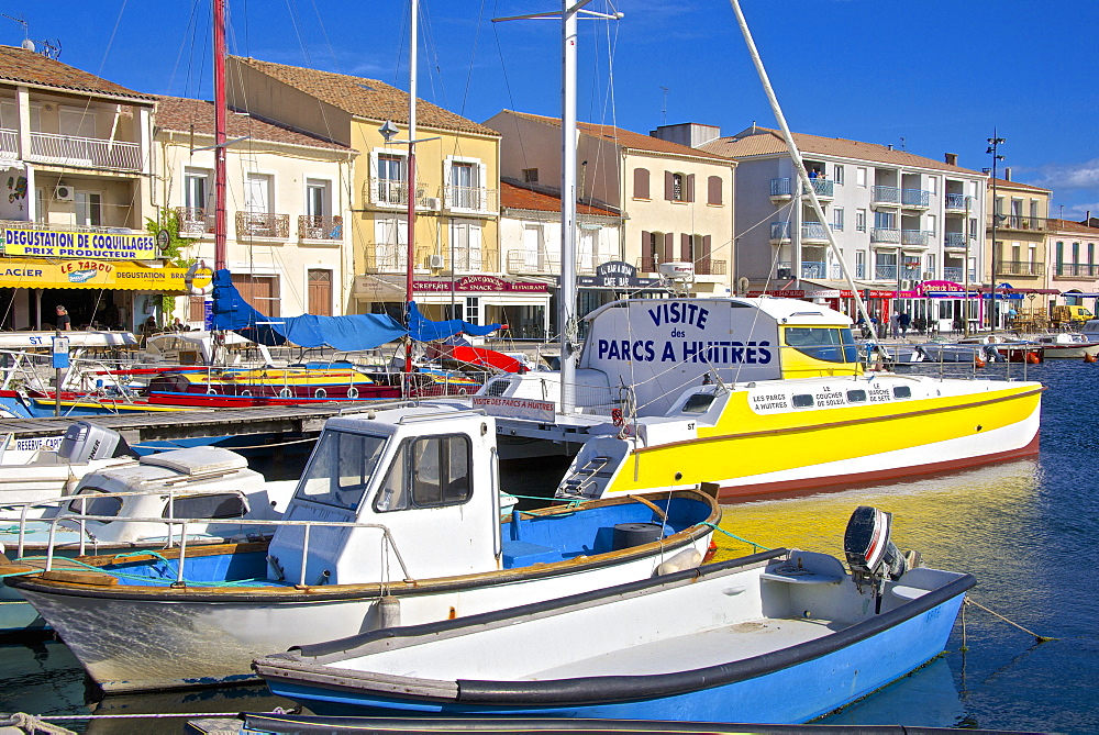 Boats in harbour, Meze, Herault, Languedoc Roussillon region, France, Europe