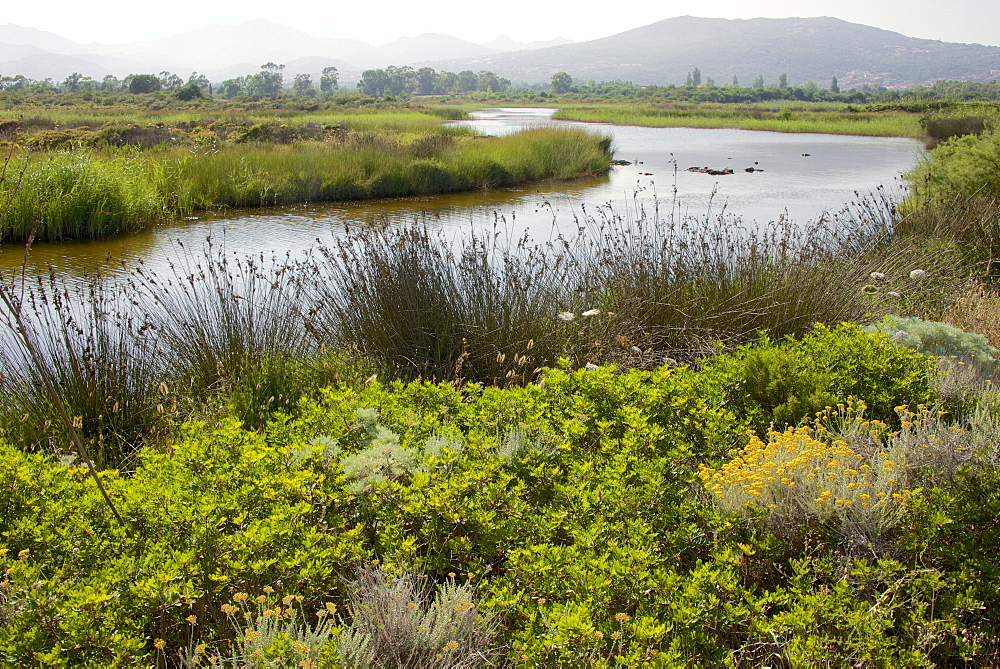 Typical Sardinian landscape, water pond and mountains in the background, Costa degli Oleandri, near Ottiolu harbour, Sardinia, Italy, Mediterranean, Europe