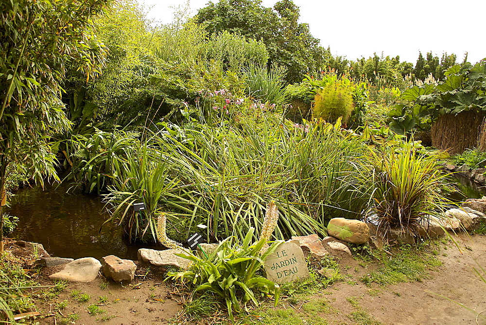 Water Garden, Botanical gardens of Chateau de Vauville, Cotentin, Normandy, France, Europe