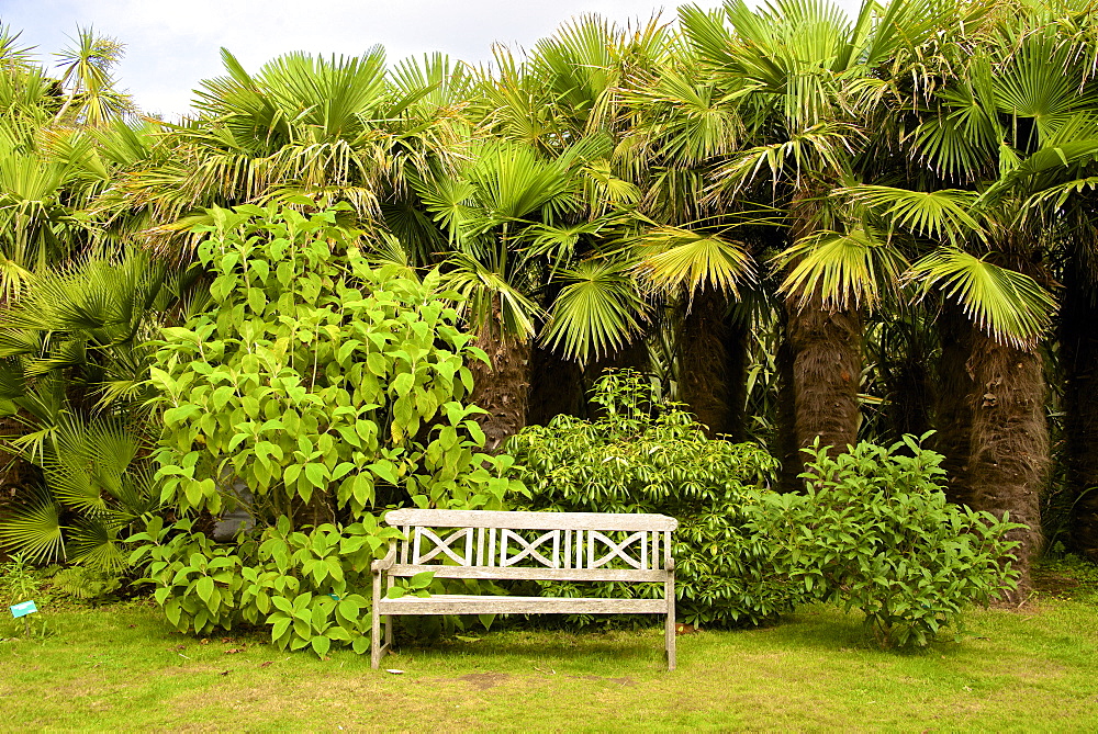 Wooden garden seat, Botanical gardens of Chateau de Vauville, Cotentin, Normandy, France, Europe