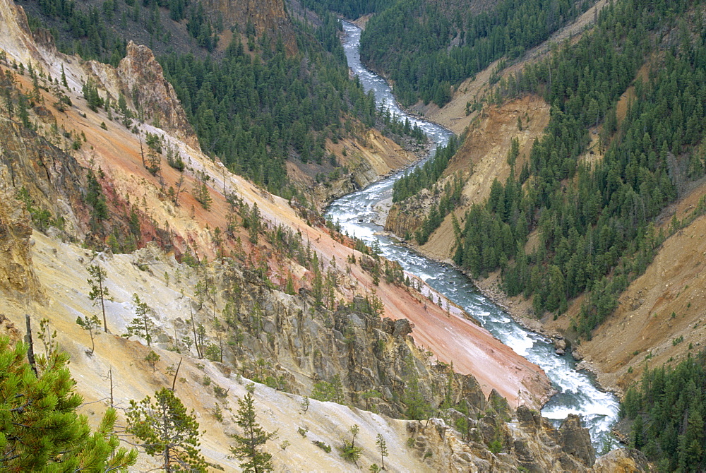 View from the Rim, Grand Canyon of the Yellowstone River, Yellowstone National Park, UNESCO World Heritage Site, Wyoming, United States of America (U.S.A.), North America