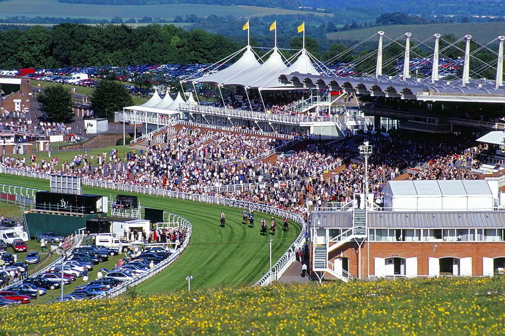 Horses racing and crowds, Goodwood Racecourse, West Sussex, England, United Kingdom, Europe