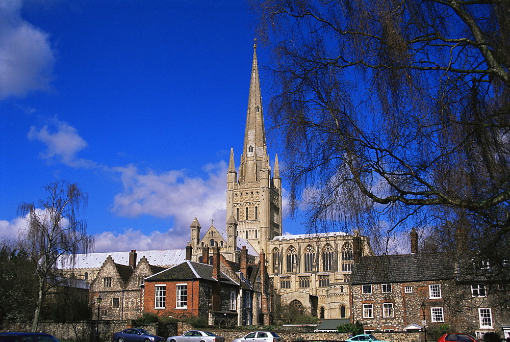 Norwich Cathedral from the Close, Norwich, Norfolk, England, United Kingdom, Europe