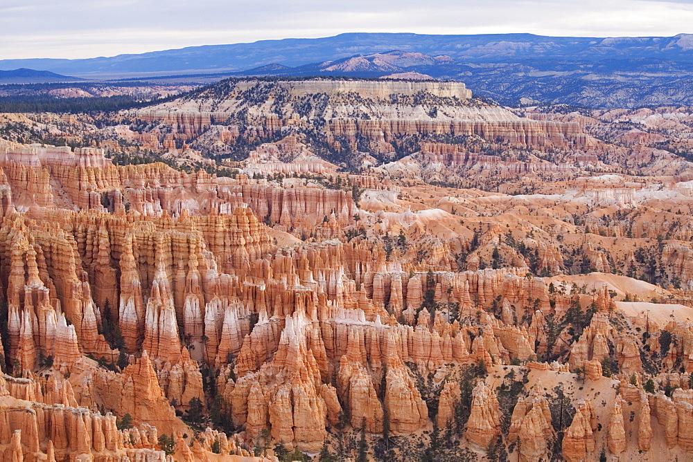 Early morning, Bryce Canyon National Park, Utah, United States of America, North America