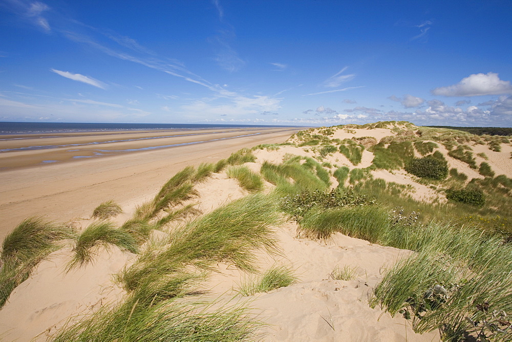 Sand dunes on beach, Formby Beach, Lancashire, England, United Kingdom, Europe