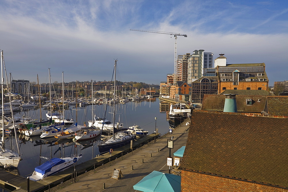 Neptune Marina, Ipswich, Suffolk, England, United Kingdom, Europe