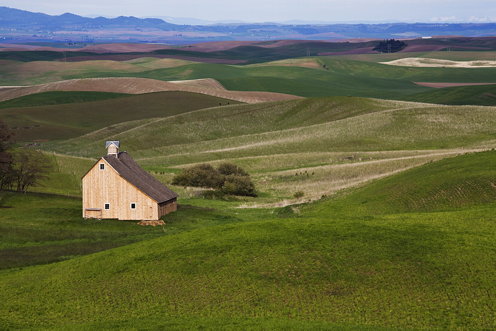 Barn in the Palouse, Idaho, United States of America, North America