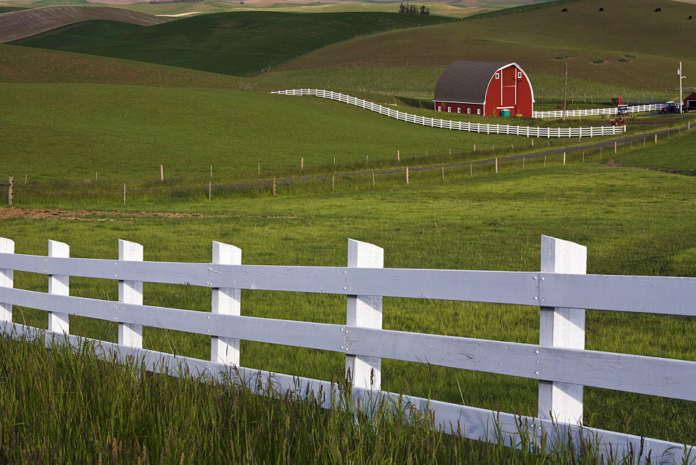 Barn in the Palouse, Washington State, United States of America, North America